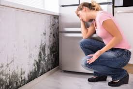 Environmental Consulting for Mold Prevention in Sylvan Springs, AL